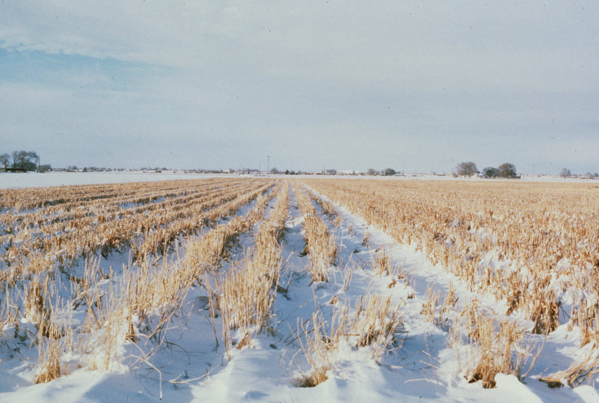 Wind Erosion Control