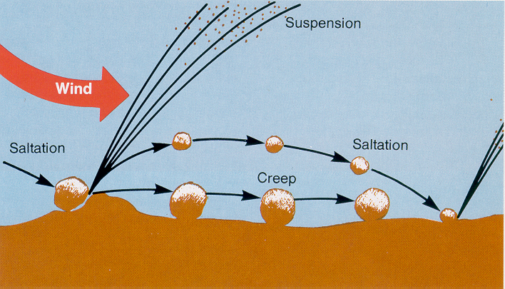 Figure: Saltation, Creep and Suspension